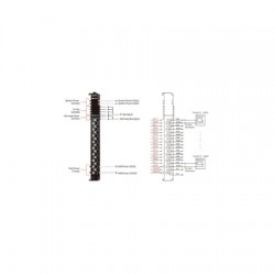 Analog output modules