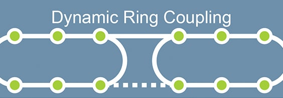 Dynamic Ring Coupling Diagram